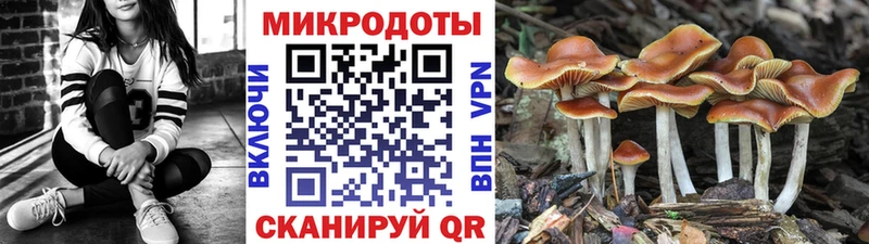 Галлюциногенные грибы прущие грибы  OMG маркетплейс  Железноводск 