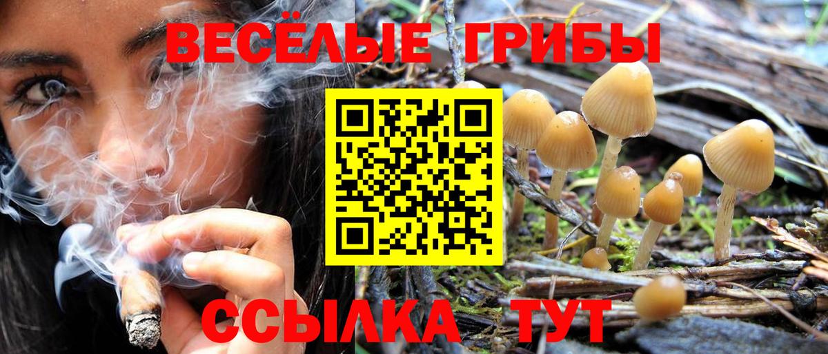 Галлюциногенные грибы MAGIC MUSHROOMS Железноводск