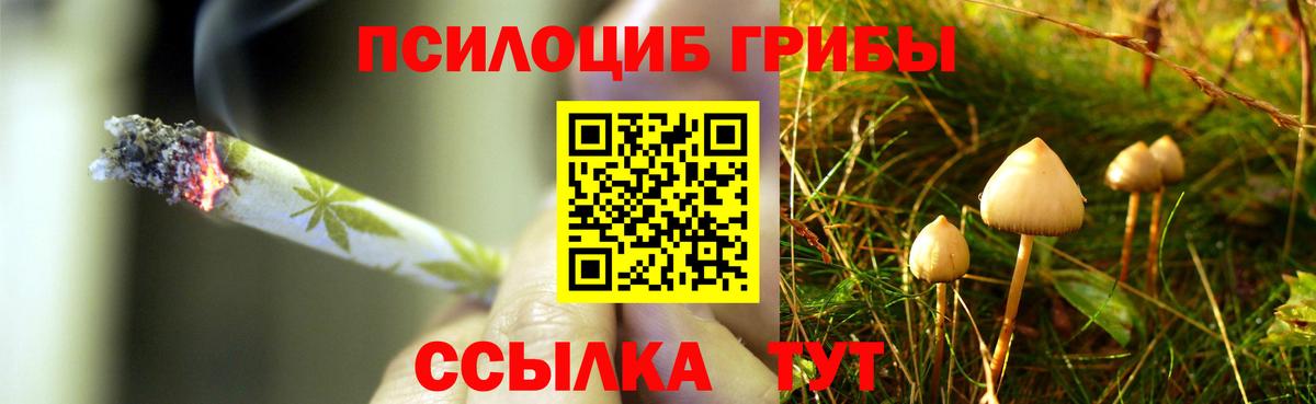 Железноводск  Галлюциногенные грибы Cubensis  где продают наркотики  Вход с VPN  Галлюциногенные грибы прущие грибы 